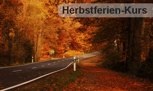 Mehr über den Artikel erfahren Herbstferien-Kurs